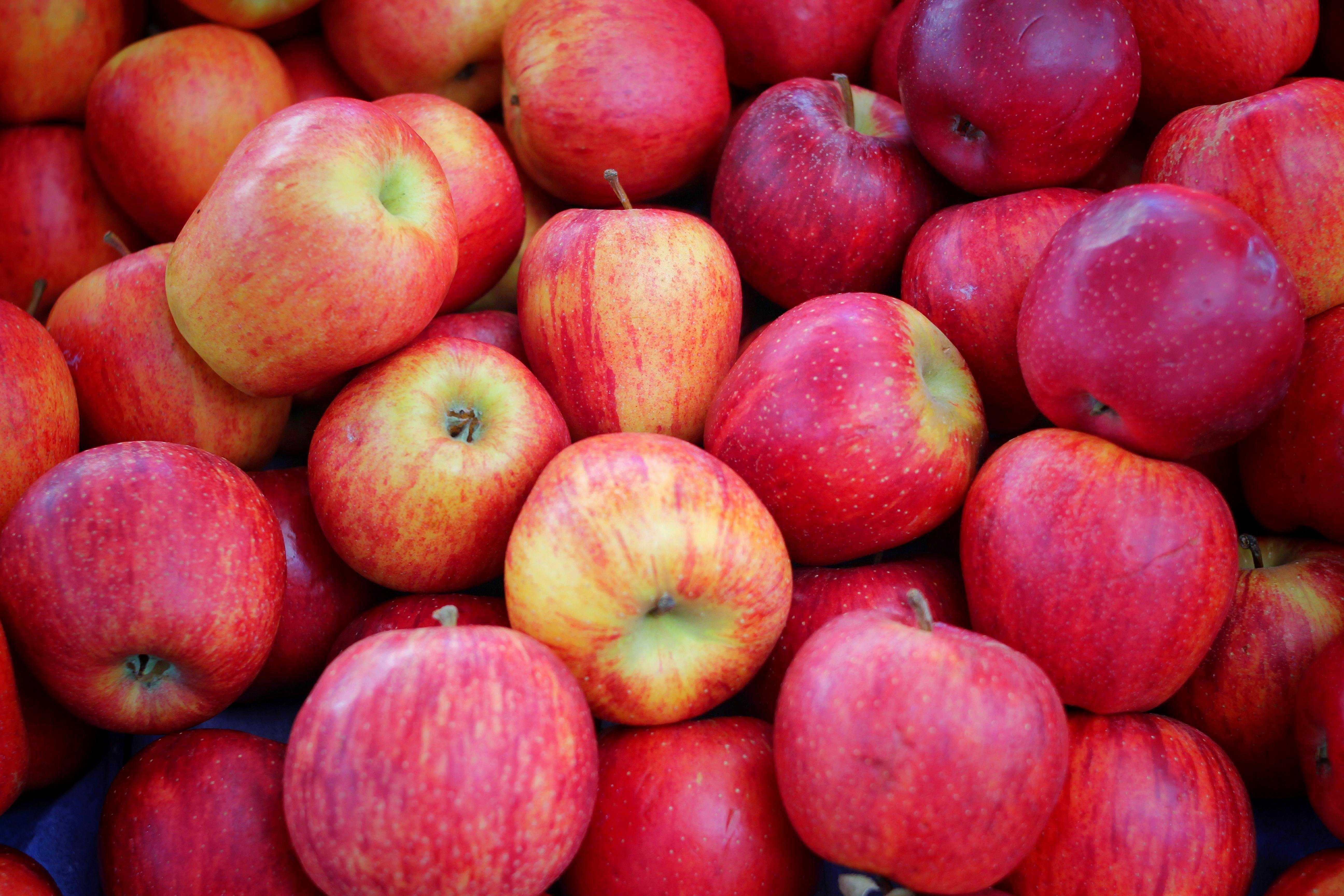 What happens if you eat an apple every day? A dietitian explains — WESH 2 Orlando