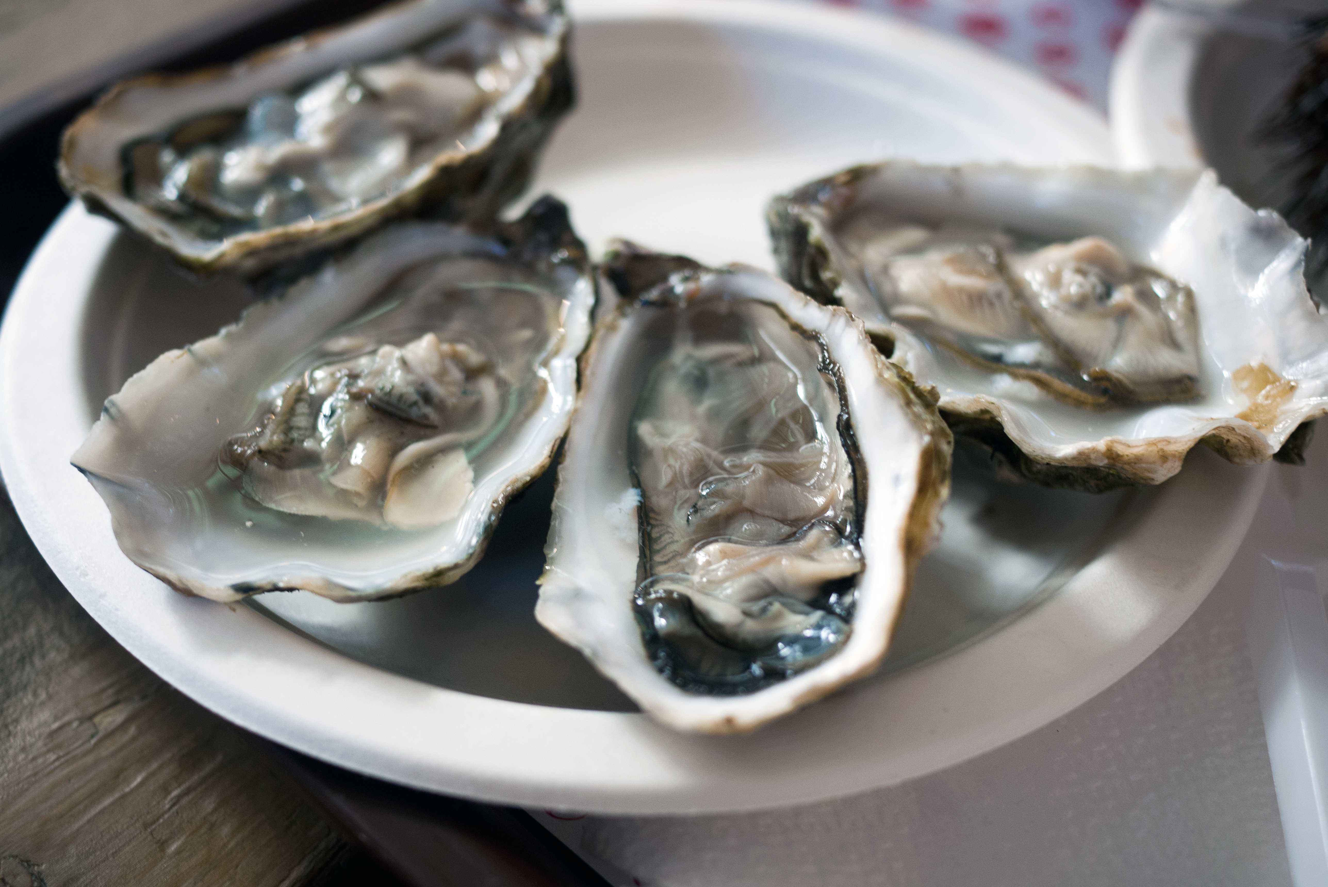 27 People Are Sick & 5 Hospitalized In A Multistate Raw Oyster Recall — WESH 2 Orlando, Windermere Dining news