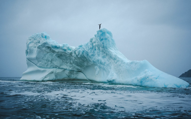 Cliff diver Molly Carson makes history, becomes first woman to dive off iceberg — WESH 2 Orlando, Windermere Community news