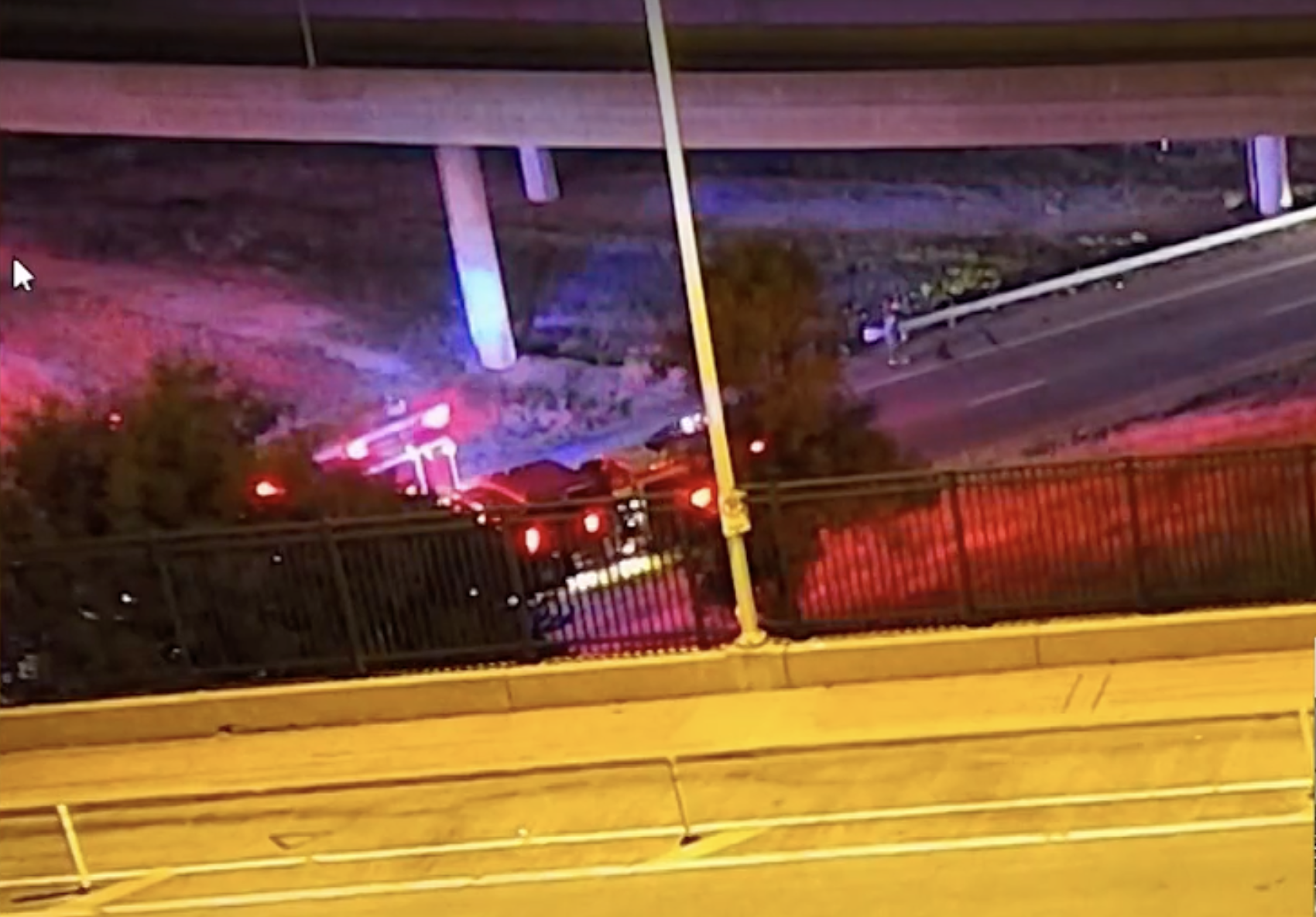 Cows roam downtown Kansas City after truck overturns, killing dozens of them — WESH 2 Orlando, Windermere Business news