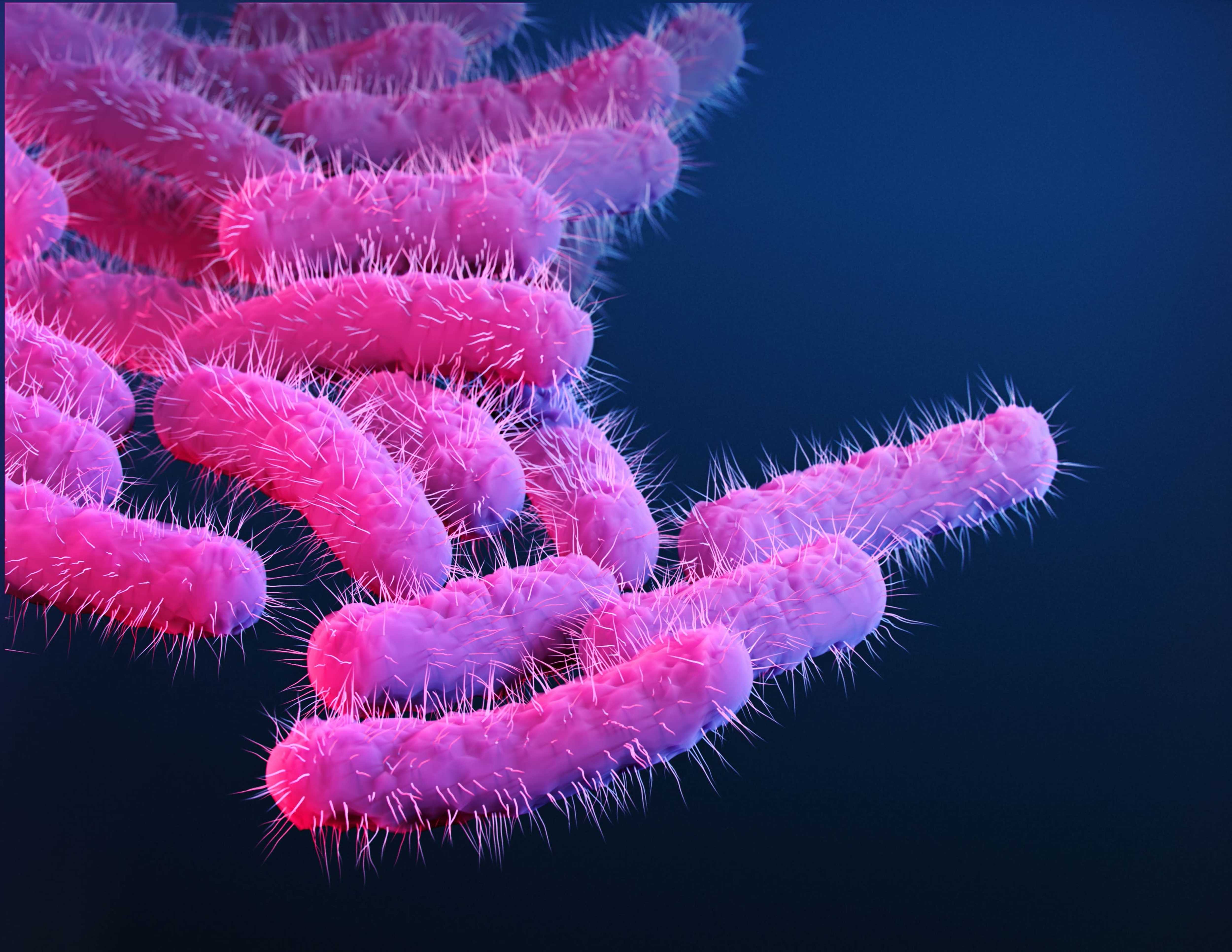 Sexually transmitted diarrhea? What to know about increasingly treatment-resistant infection — WESH 2 Orlando