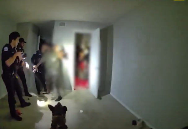 Video: K9 helps Ocoee police find 7 teens hiding in closet during burglary arrest — WESH 2 Orlando
