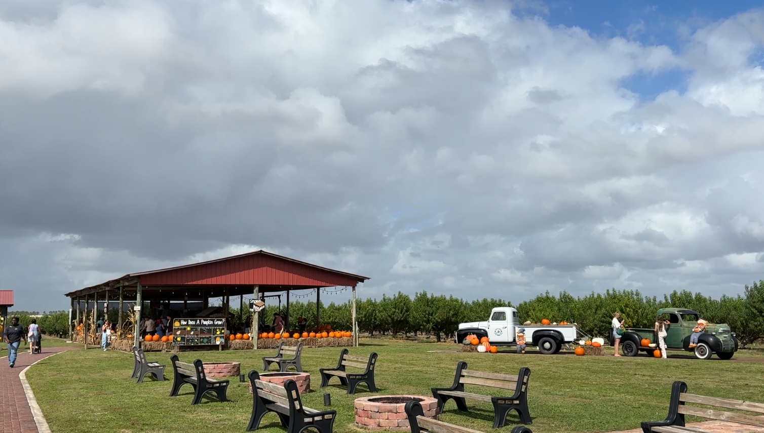 Southern Hill Farms hosts 11th annual fall festival in Clermont — Windermere Arts news
