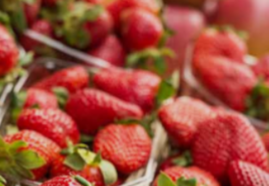 Strawberry farmer hopes steam holds the key to healthy soil and a better crop — WESH 2 Orlando, Windermere Health news