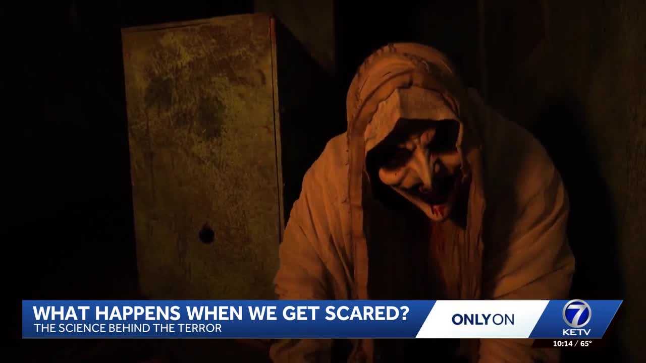 The science of being scared: What happens to your brain, body when fear strikes? — WESH 2 Orlando, Windermere Community news