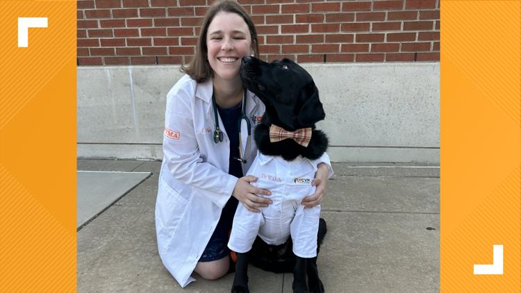 'Dogtor Walsh' reports for duty on the UT campus — KENS 5 (San Antonio), Windermere Schools news