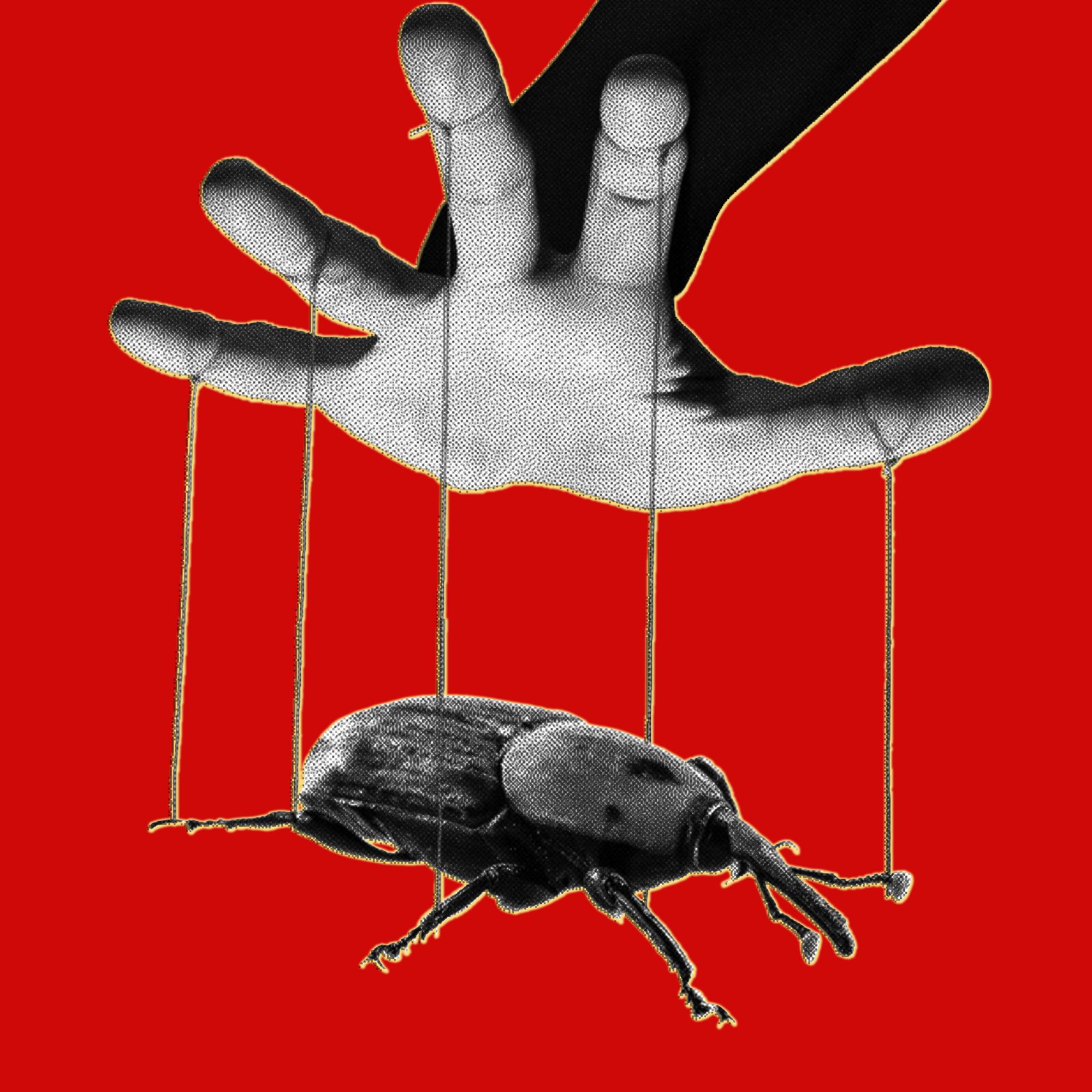 The PHP Meltdown Shows How AI Makes Bugs More Exploitable — Wired, Windermere Technology news