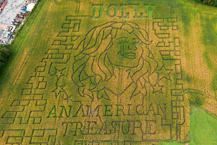 Aw shucks: Dolly Parton corn mazes crop up in fields nationwide — ClickOrlando Entertainment, Windermere Business news