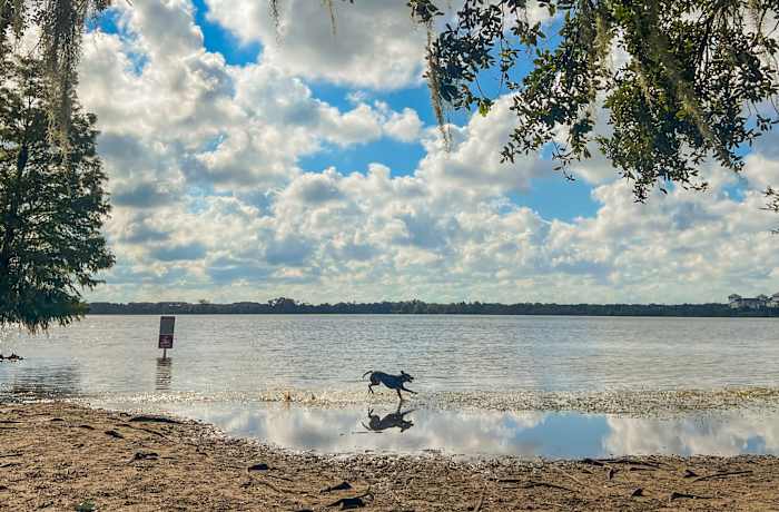 Winter Park shelves paid parking pilot for Lake Baldwin Park — ClickOrlando Local, Windermere Government news